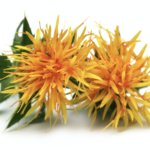 coloring foodstuff, safflower, Carthamidin, natural coloring, anthocyanin, natural coloring, own label, food coloring, BioconColors, colouring foods, natural pigments, hues